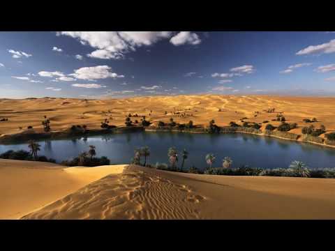 BONEFUNK  -  TRAVELDAY