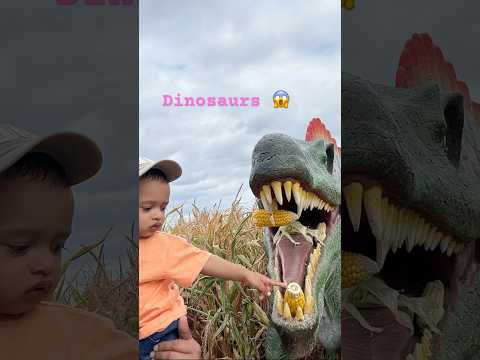 #Dinosaurs #DinoPark #JurassicVibes #DinoFun #DinosaurLovers #jurassicworld