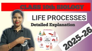 Life Processes class 10th NCERT | Detailed explanation | Activity explain | Life processes Biology||