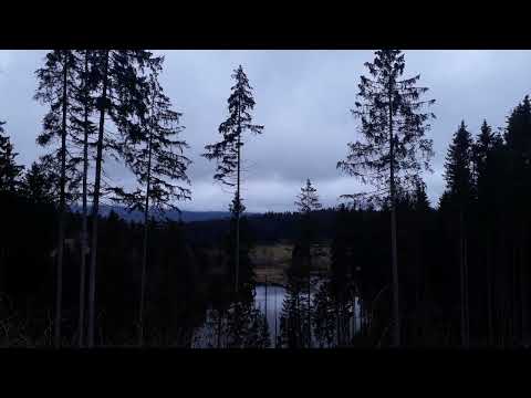Sounds of Spring
