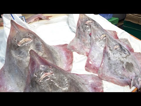 Korean Street Food - Decompose fermented skate, Stingray with a sore nose