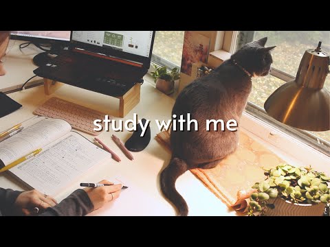 1.5 hour study (languages) with me | 25/5 pomodoro | chatty breaks | background noise & light rain