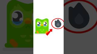 the streak 😭 #duolingo #duolingostreak