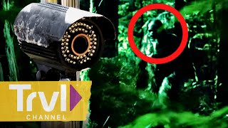 Face to Face With Bigfoot | Paranormal Caught on Camera | Travel Channel