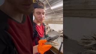 SMH #employeeengagement #workmistakes #workplacehumor