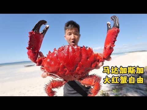 Island Hopping Adventure: Lobsters and Crabs Galore on a Secluded Beach