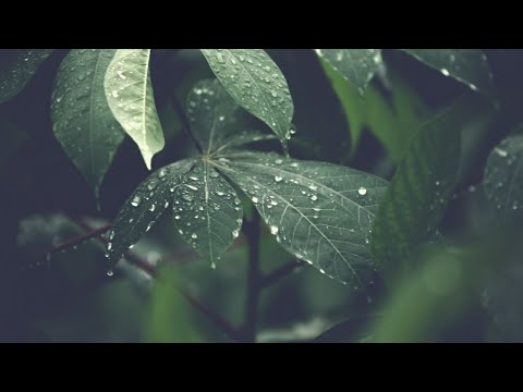 Soothing Sleep Music ~ 4K Video Meditation, Sleep, Calming, Yoga #relaxingmusic