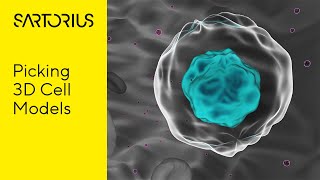 Automated Isolation of Organoids Based on Specific Characteristics Using the CellCelector