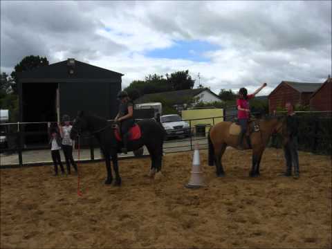 seaview house equestrian pony camps