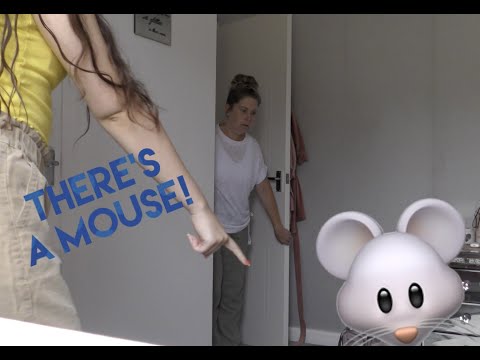 Mouse prank on mum🐭😭