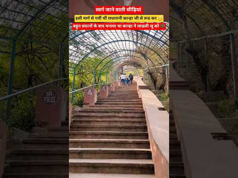 Top Learning Tools 🥰 for Tech Enthusiasts #shorts #shortsfeed #viralshorts 🔥🥰🙏