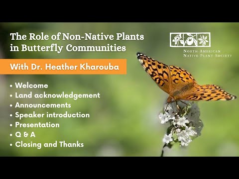 The Role of Non-Native Plants in Butterfly Communities with Dr. Heather Kharouba
