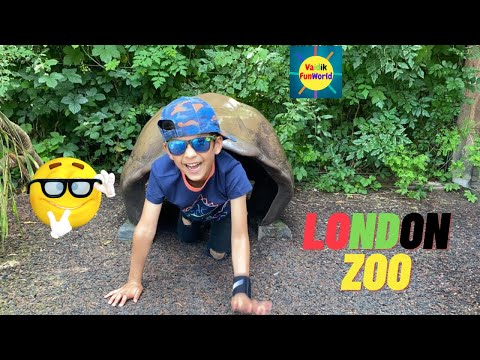 London Zoo| kids walking tour of The London Zoo!!! | Learning about Animals| Zoo Visit for Children