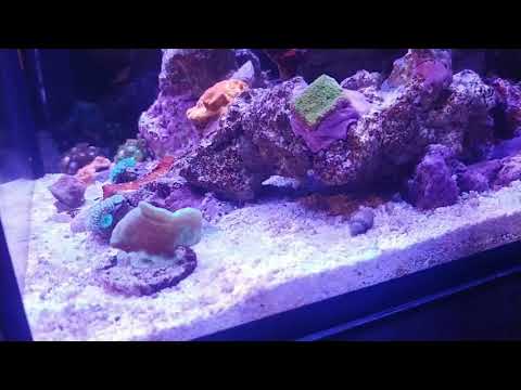 Rico's Nano Challenge 2018