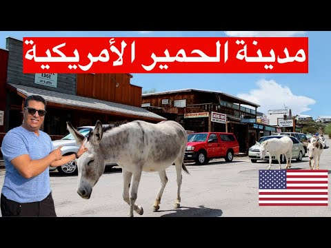 مدينة الحمير الامريكية | مغربي في امريكا |