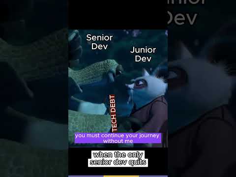 when the only senior dev quits
