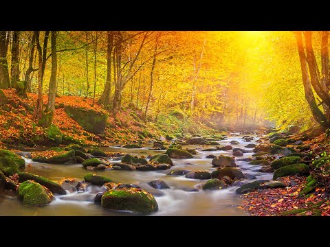 Relaxing Autumn Music - Harmony for Emotional Healing, Deep Calm & Mindful Meditation