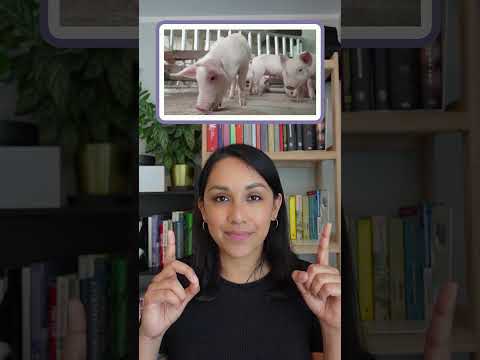 👂🐴🐷 Sounds that farm animals make #learnenglish #animalsounds #vocabulary #englishlesson #esl