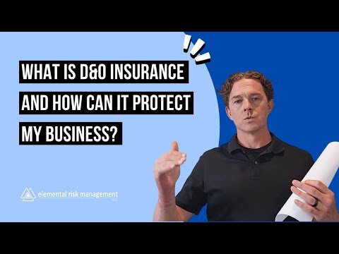 What is Directors & Officers (D&O) Insurance And How Can it Protect My Business?