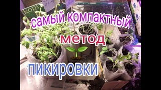 THE MOST COMPACT METHOD OF PICKING OUT // saving space for seedlings