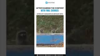 Project Manager Life