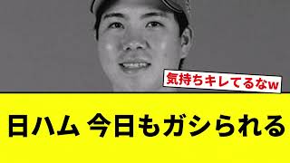 [10 Losses!] Nippon-Ham gets hammered again [Pro Baseball Reaction Collection]
