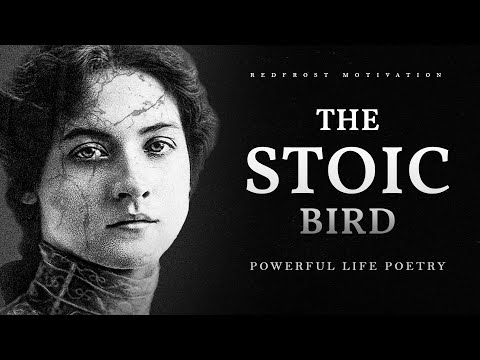 The Stoic Bird - E. Wylie (Powerful Life Poetry)