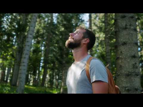 4K NATURE & TREES CREATIVE COMMON VIDEOS WITH NATURE | FREE TO REUSE VIDEOS | PIXELS