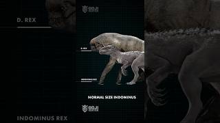 Full Grown Indom and Distortus Rex Size Comparison  #jurassicworldrebirth