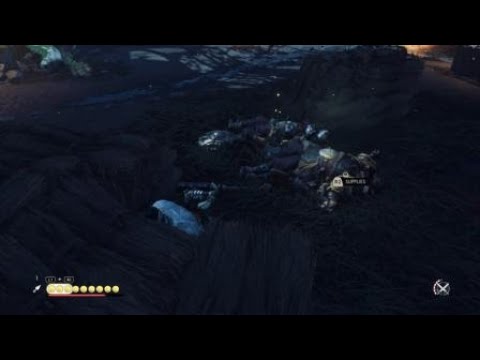 Ghost of Tsushima - Wtf moments