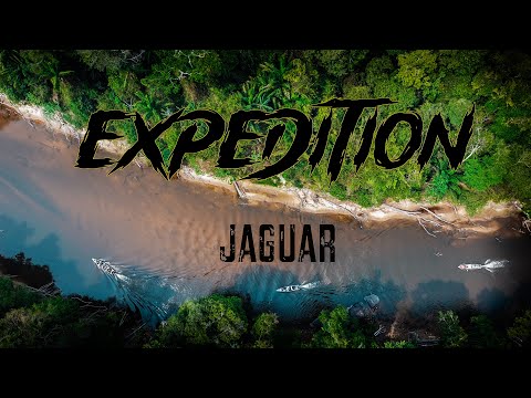 Expedition In Search of the Elusive Jaguar | Episode one