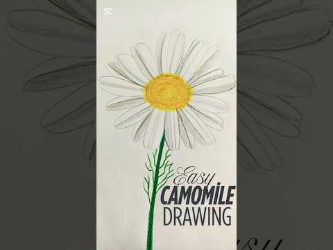 30 saniyede papatya çizimi! #painting #art #drawing #sketch #shorts #daisy #papatya #easyart #flower