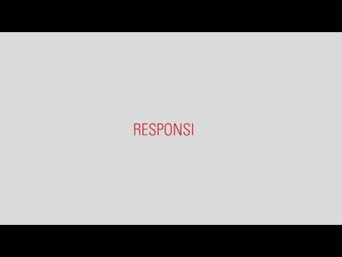 THIEL | Infographic Design | Static vs Responsive vs Interactive