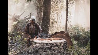 Expert logger  | Day In The Life