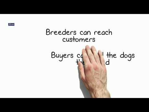 K9 Trader is your Global Virtual Kennel