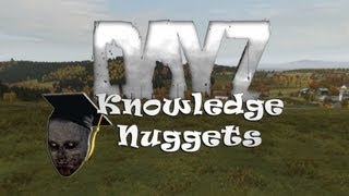 DayZ Knowledge Nuggets - Chapter 1