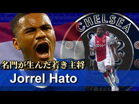 【徹底解説】ヨレル・ハトのすべて