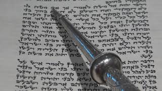 Torah Reading for Parashat Bamidbar Rabbi Moshe Weisblum קריאת התורה לפרשת במדבר הרב משה ויסבלום