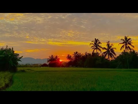 Mini vlog village ❎✅🥀🌲🥰🫶 l l youtube vlogs//Village #vlog #youtubeshorts #vlogs #shorts 