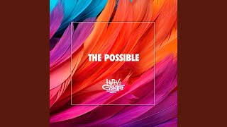 THE POSSIBLE