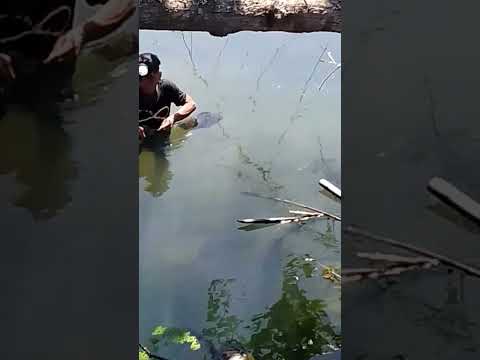 fishing #fishingtrip #fishing #fishinglife #shortvideo