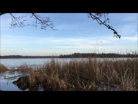 Eternell - Life Will Set You Free