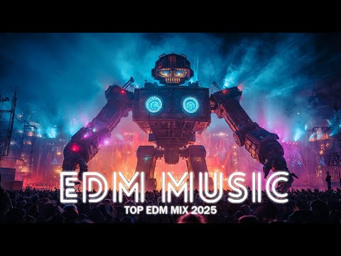 Top EDM Mix 2025 ✨ Melodious, emotional and festive music.