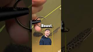 Android vs i phone 🤣 #shorts #trending #viralvideo #mrbeast