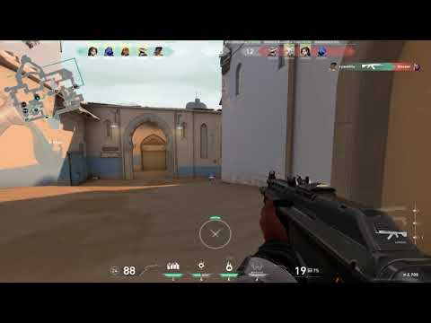 valorant pro silver