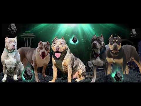 Humble Beast K9s Motion Banner Rev II