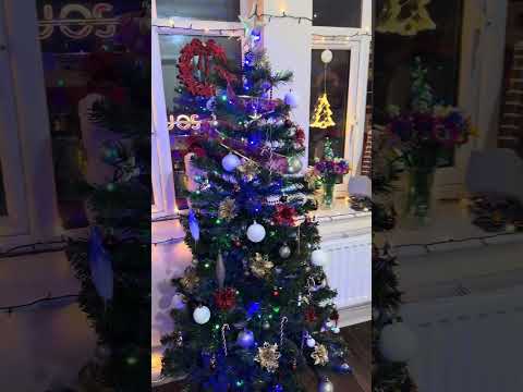 We’re so happy we were able to put up the Christmas tree and lights! #xmasiscoming #xmastree