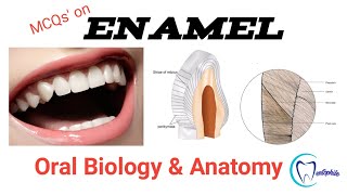 MCQs  on Enamel || Oral anatomy || Dentophile