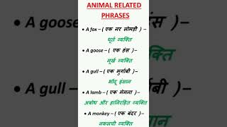 Phrases # vocabulary 25 July 2024