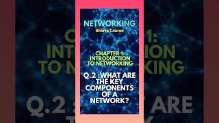What are the key components of a network?